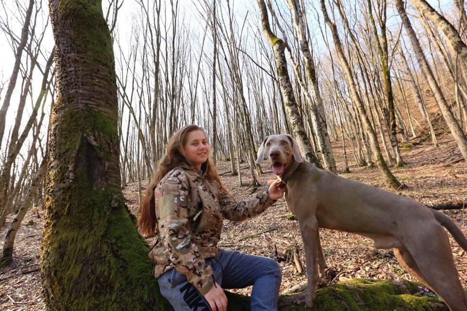 Большая помощь маленьким друзьям