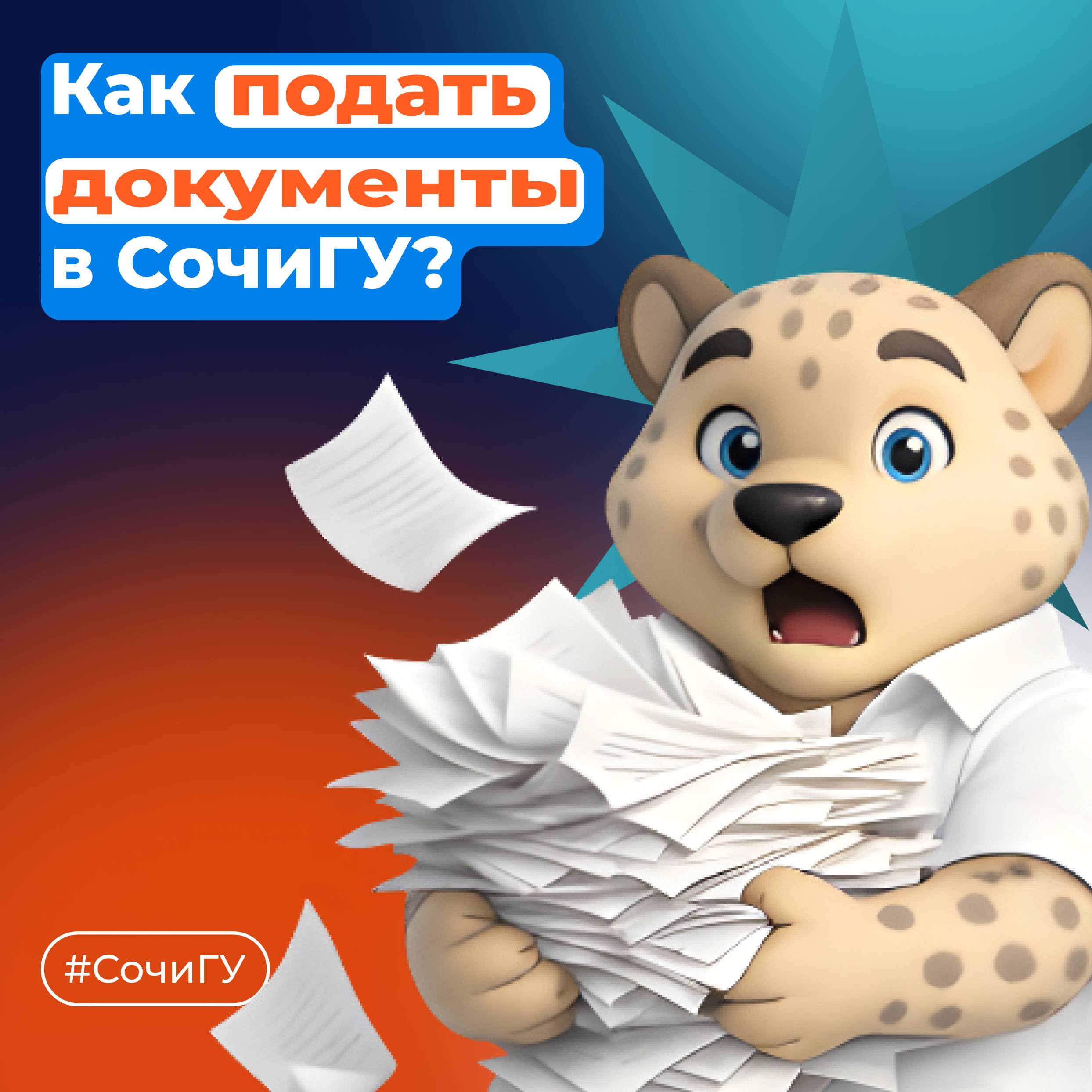 Как подать документы в Сочинский государственный университет?