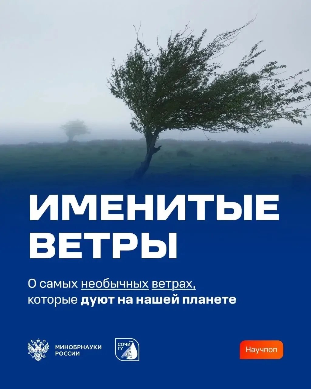 Рассказывают ученые СочиГУ